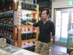 レッドビーシュリンプ繁殖でヤフオク！出品