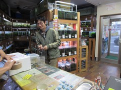 レッドビーシュリンプ繁殖してヤフオク！出品