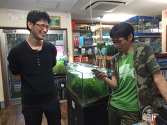 レッドビーシュリンプ繁殖でヤフオク！出品！