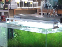 ライトスタンド