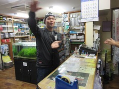 レッドビーシュリンプ繁殖で出品