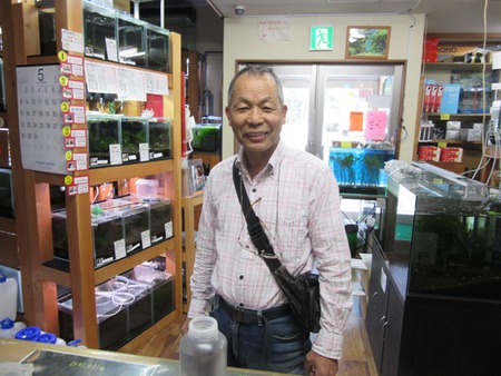 レッドビーシュリンプ繁殖でヤフオク！出品！