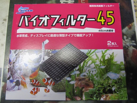 レッドビーシュリンプには