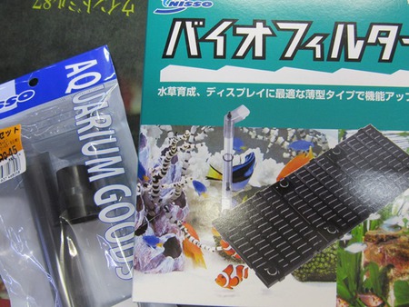 レッドビーシュリンプ繁殖と底面フィルターの関係
