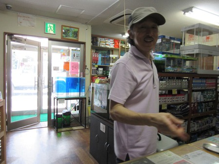 レッドビーシュリンプ繁殖でヤフオク！出品