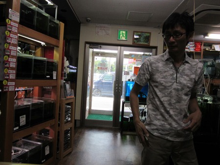 M87でレッドビーシュリンプ繁殖成功でヤフオク！出品