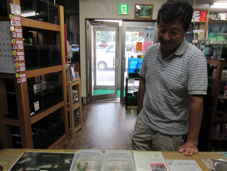 M87でレッドビーシュリンプ繁殖成功でヤフオク！出品