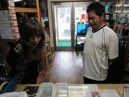 レッドビーシュリンプ繁殖成功でヤフオク！出品