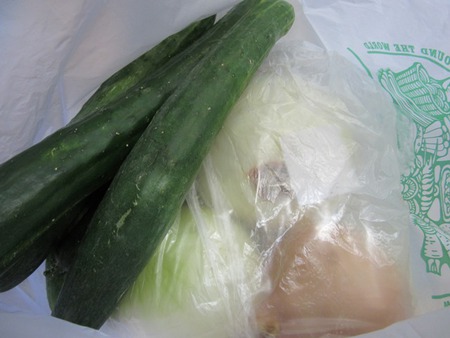 レッドビーシュリンプ繁殖成功でヤフオク！出品