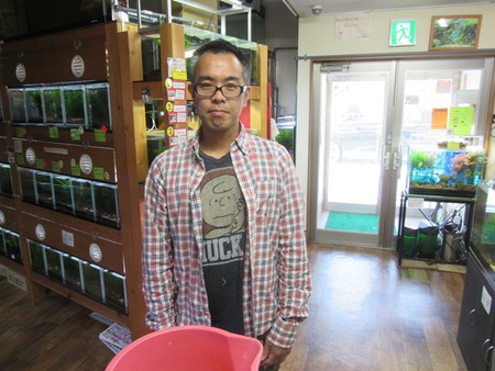 レッドビーシュリンプ