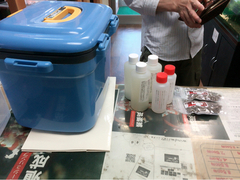 レッドビーシュリンプ繁殖でヤフオク！出品