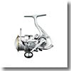 ダイワ(Daiwa) １１カルディア　２５０６Ｈ