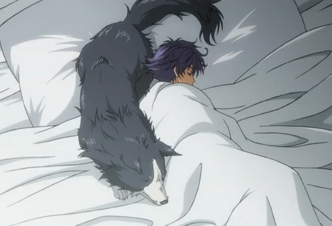 八犬伝 東方八犬異聞 犬川荘介 コス衣装販売 黒子のバスケ 愛の衣装 登場 八犬伝 東方八犬異聞 犬川荘介 コス衣装販売 黒子のバスケ 愛の衣装 登場