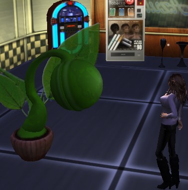 植物？