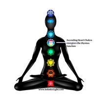 進化のためのサイムスチャクラ 進化のためのサイムスチャクラ