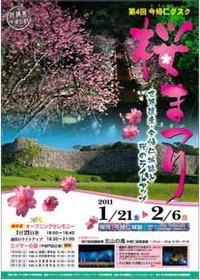 今帰仁グスク桜まつり