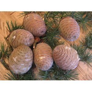 ヒマラヤ杉の実 知っていますか しずえのブログ