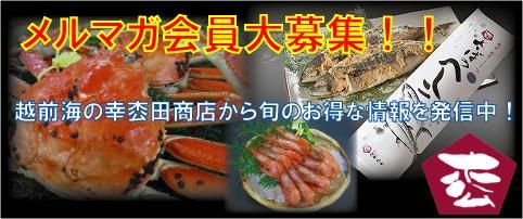 まった商店メルマガ