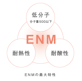 ENMの最大特性