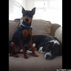 Photo Flipbook Slideshow Maker