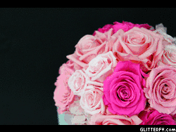 Photo Flipbook Slideshow Maker