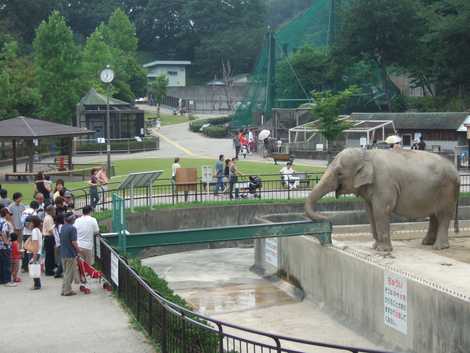 動物園 に対する画像結果