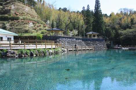 霧島山麓丸池湧水の画像