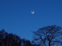 AllAbout ダイエット，AllAbout mico,AllAbout 阿部エリナ，ダイエットundefined夜食，ダイエットundefined夜お腹がすく