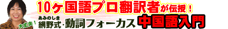 ２０ヶ国語をマスターした現役プロ翻訳者・通訳者がついにその語学習得法を初公開！中国語を短期間で身につける極意をすべて伝授します。本気で使える中国語を身につけたい方限定です。