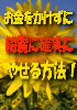 便秘が治り、肌の張りも良くなり、リバンド無く綺麗に確実に痩せるダイエット方法！