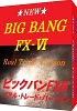■ビックバンFX-6■FX・外国為替証拠金取引■