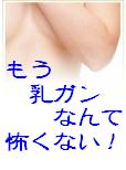 もう 乳ガンなんて 怖くない! - 東洋医学とスピリチュアルと氣功療法