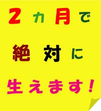 正真正銘完全オリジナル！！！２ヵ月で答えが出る驚異の発毛育毛効果！シャンプーを○○（固形物です）に換えるだけ！！！