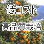 低コスト高品質生産への手引き