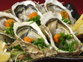 料理メニュー写真&nbsp;旬！生牡蠣　or 牡蠣の炭火焼き　2ヶ