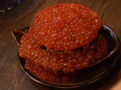 鮭が戻ってくる９月下旬から１１月頃まで限定ぶっつかけこぼれいくら丼！