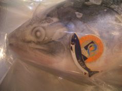 海鮮居酒屋 海丸 うみまるのおすすめ料理3