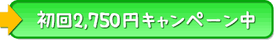 公式サイト
