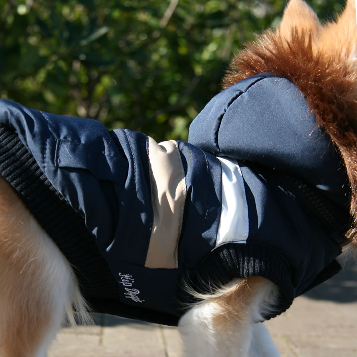 犬のアーバン スキー ベスト 2 ジャンパー [ネイビー]