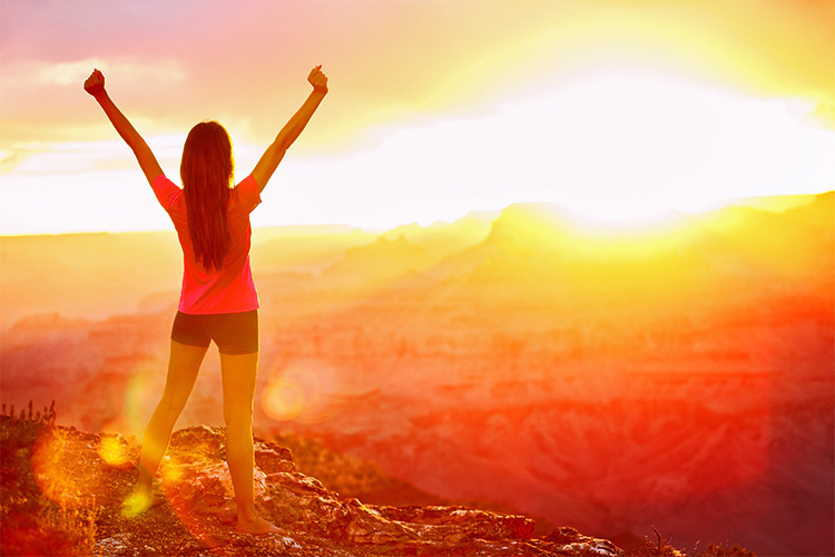 ããã©ã¹æèãã®ç»åæ¤ç´¢çµæ