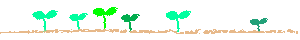 sprout.gif