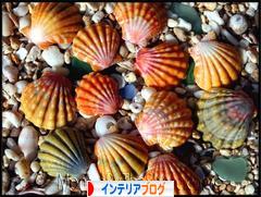 にほんブログ村 インテリアブログへ