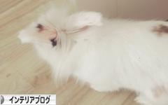 にほんブログ村 インテリアブログへ