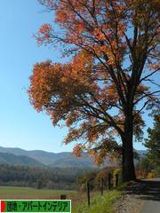 にほんブログ村 インテリアブログ 団地・アパートインテリアへ