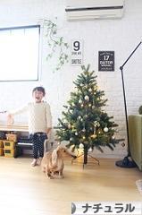 にほんブログ村 インテリアブログ ナチュラルインテリアへ