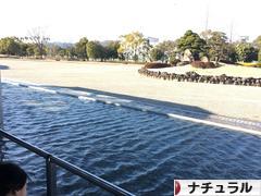 にほんブログ村 インテリアブログ ナチュラルインテリアへ