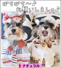 にほんブログ村 インテリアブログ ナチュラルインテリアへ