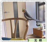 にほんブログ村 インテリアブログ 北欧インテリアへ