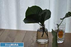 にほんブログ村 インテリアブログ 北欧インテリアへ