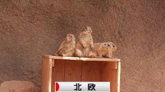 にほんブログ村 インテリアブログ 北欧インテリアへ